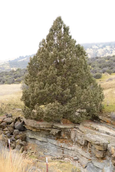 DSC_3140 (Large).JPG